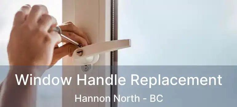  Window Handle Replacement Hannon North - BC