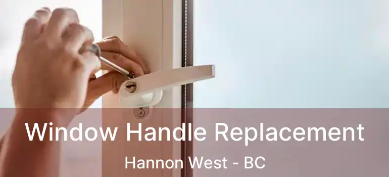  Window Handle Replacement Hannon West - BC