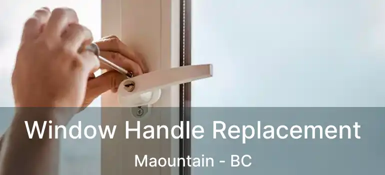  Window Handle Replacement Maountain - BC