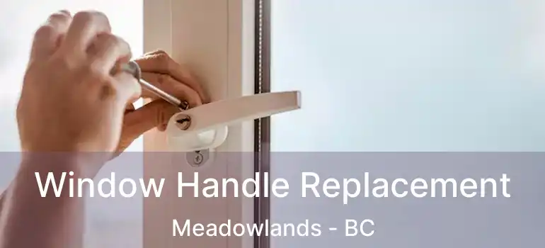 Window Handle Replacement Meadowlands - BC