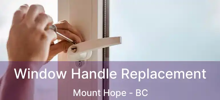  Window Handle Replacement Mount Hope - BC