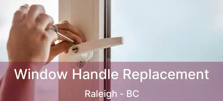  Window Handle Replacement Raleigh - BC