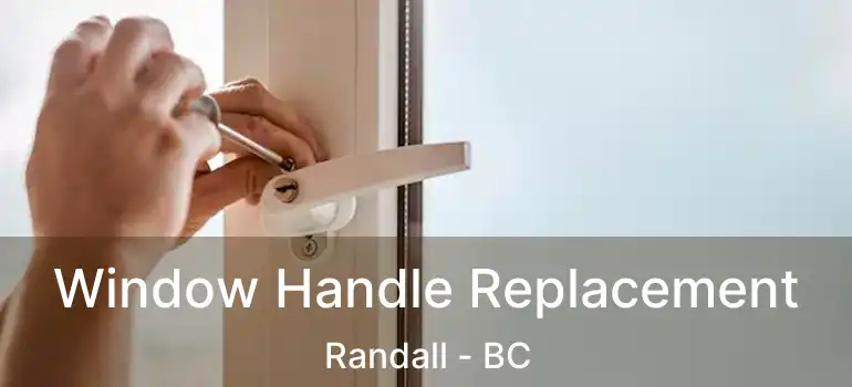  Window Handle Replacement Randall - BC