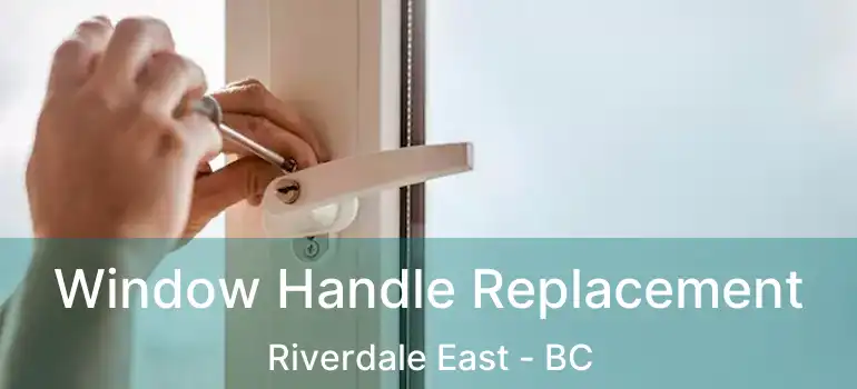  Window Handle Replacement Riverdale East - BC