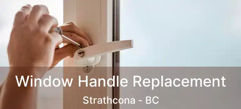  Window Handle Replacement Strathcona - BC