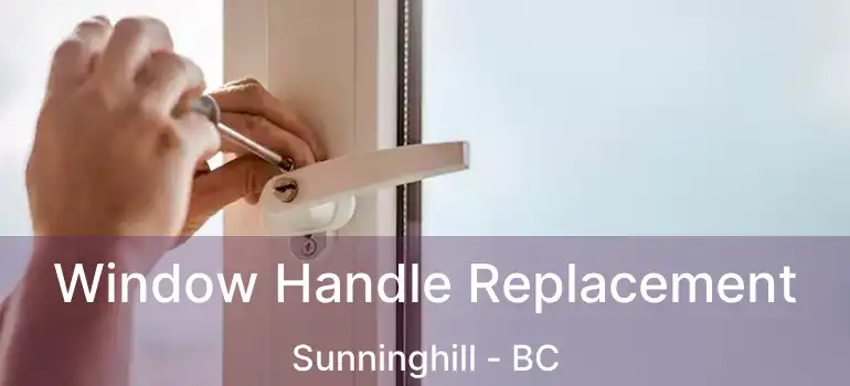 Window Handle Replacement Sunninghill - BC