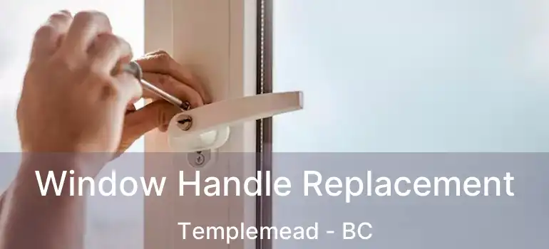  Window Handle Replacement Templemead - BC