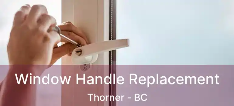  Window Handle Replacement Thorner - BC