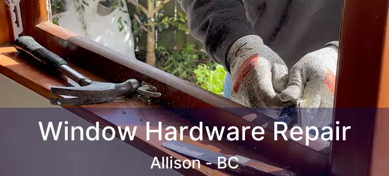  Window Hardware Repair Allison - BC
