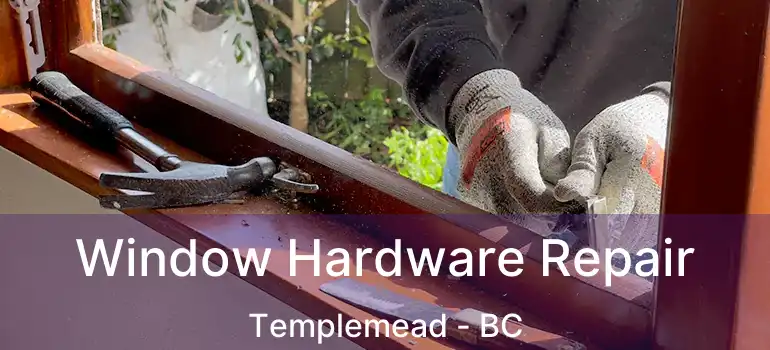  Window Hardware Repair Templemead - BC