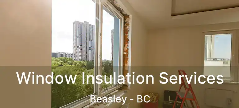 Window Insulation Services Beasley - BC