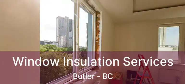 Window Insulation Services Butler - BC