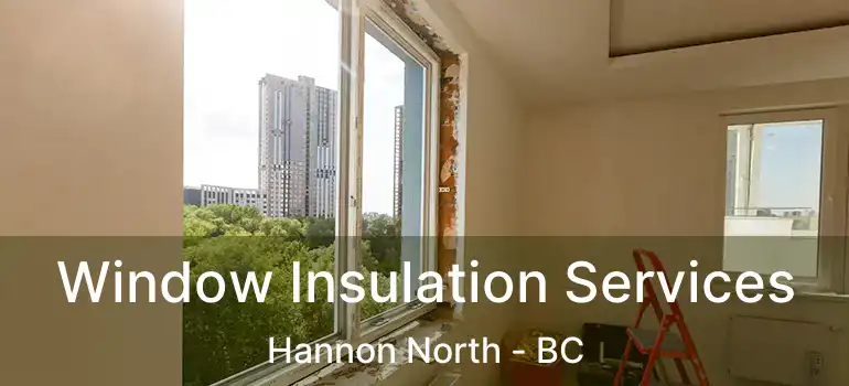  Window Insulation Services Hannon North - BC
