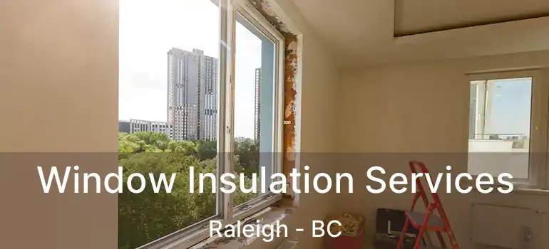  Window Insulation Services Raleigh - BC