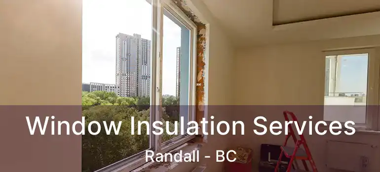  Window Insulation Services Randall - BC