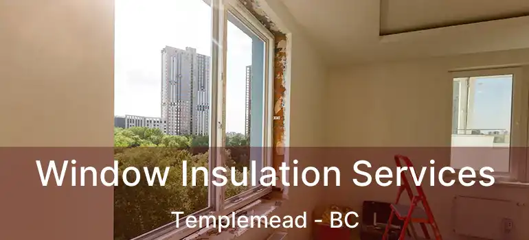  Window Insulation Services Templemead - BC