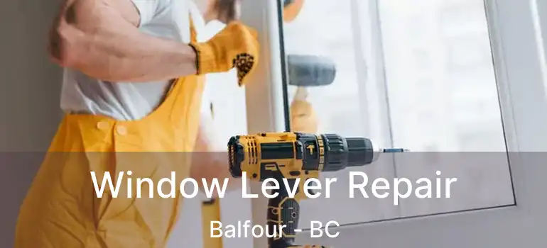 Window Lever Repair Balfour - BC