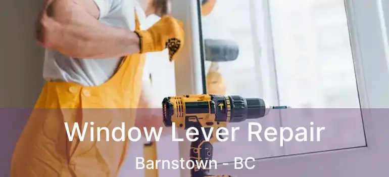  Window Lever Repair Barnstown - BC
