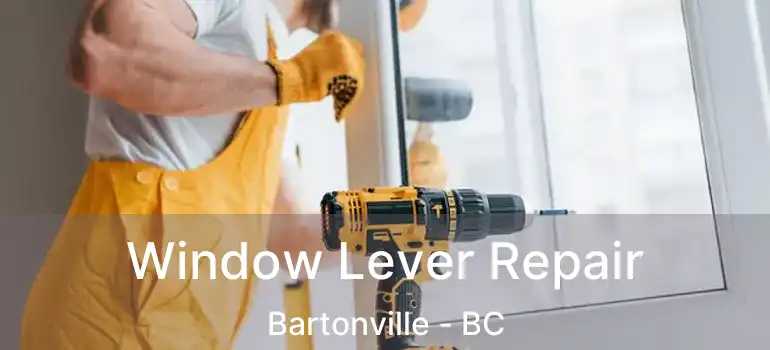  Window Lever Repair Bartonville - BC