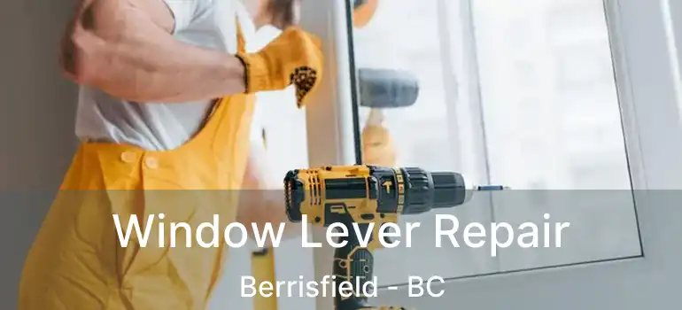  Window Lever Repair Berrisfield - BC