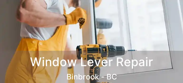  Window Lever Repair Binbrook - BC