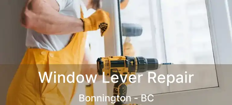  Window Lever Repair Bonnington - BC
