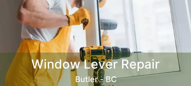  Window Lever Repair Butler - BC