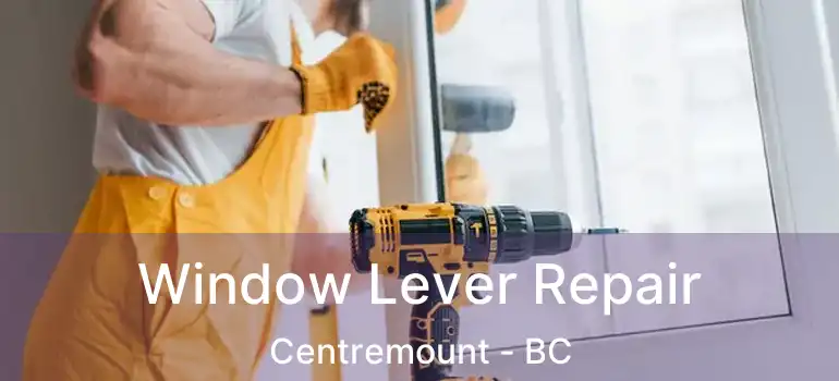  Window Lever Repair Centremount - BC
