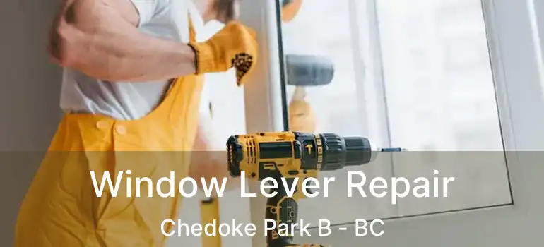  Window Lever Repair Chedoke Park B - BC