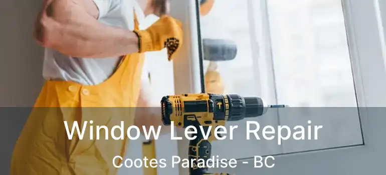  Window Lever Repair Cootes Paradise - BC