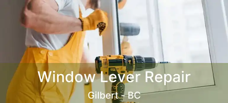  Window Lever Repair Gilbert - BC
