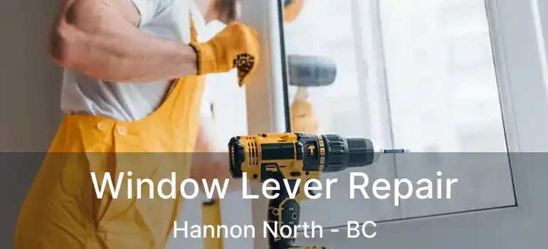  Window Lever Repair Hannon North - BC