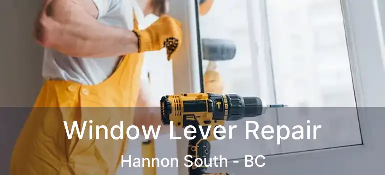  Window Lever Repair Hannon South - BC
