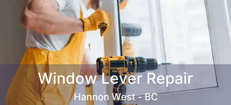  Window Lever Repair Hannon West - BC