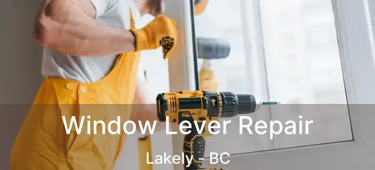  Window Lever Repair Lakely - BC