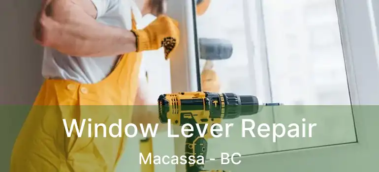  Window Lever Repair Macassa - BC