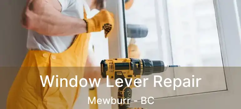  Window Lever Repair Mewburr - BC