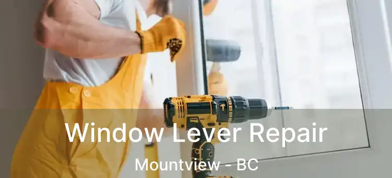  Window Lever Repair Mountview - BC