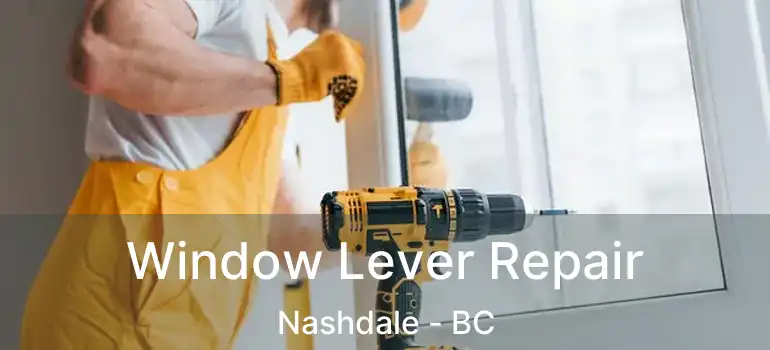  Window Lever Repair Nashdale - BC