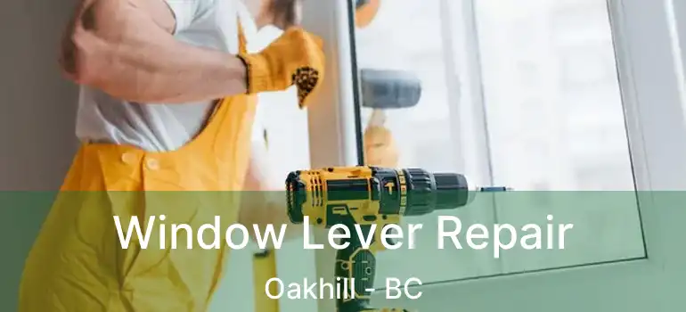  Window Lever Repair Oakhill - BC
