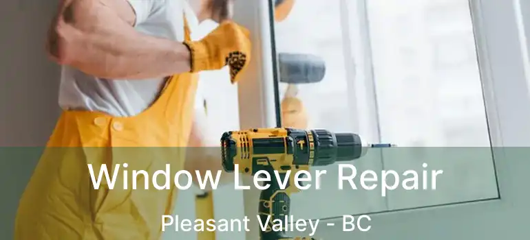 Window Lever Repair Pleasant Valley - BC
