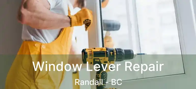  Window Lever Repair Randall - BC
