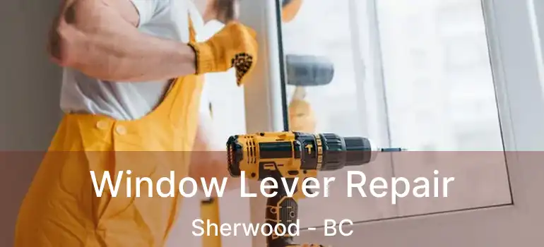  Window Lever Repair Sherwood - BC