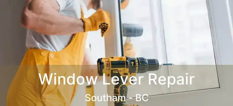  Window Lever Repair Southam - BC