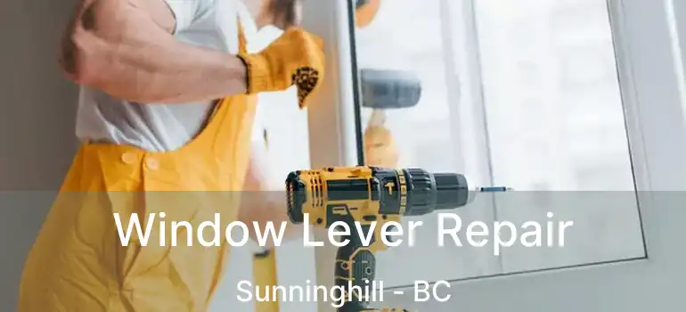  Window Lever Repair Sunninghill - BC