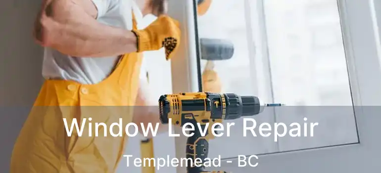  Window Lever Repair Templemead - BC