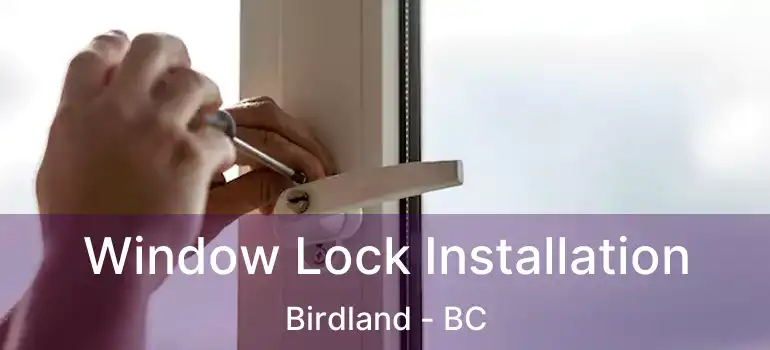  Window Lock Installation Birdland - BC