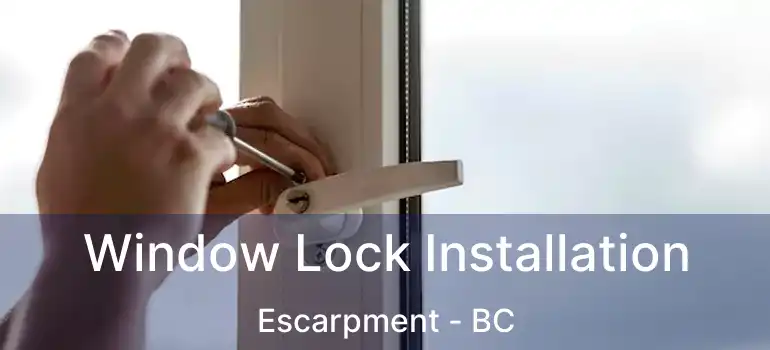  Window Lock Installation Escarpment - BC