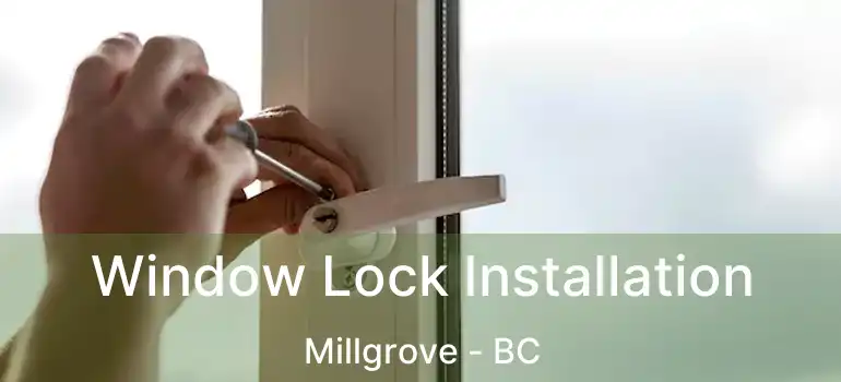  Window Lock Installation Millgrove - BC