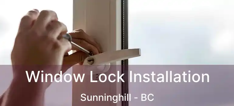  Window Lock Installation Sunninghill - BC